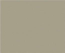 FL matte silver grey